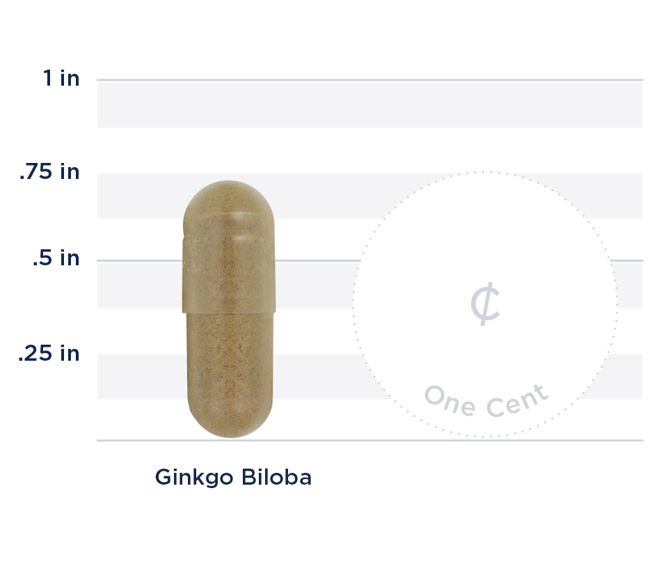 Ginkgo Biloba