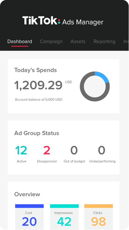 TikTok Ads Manager